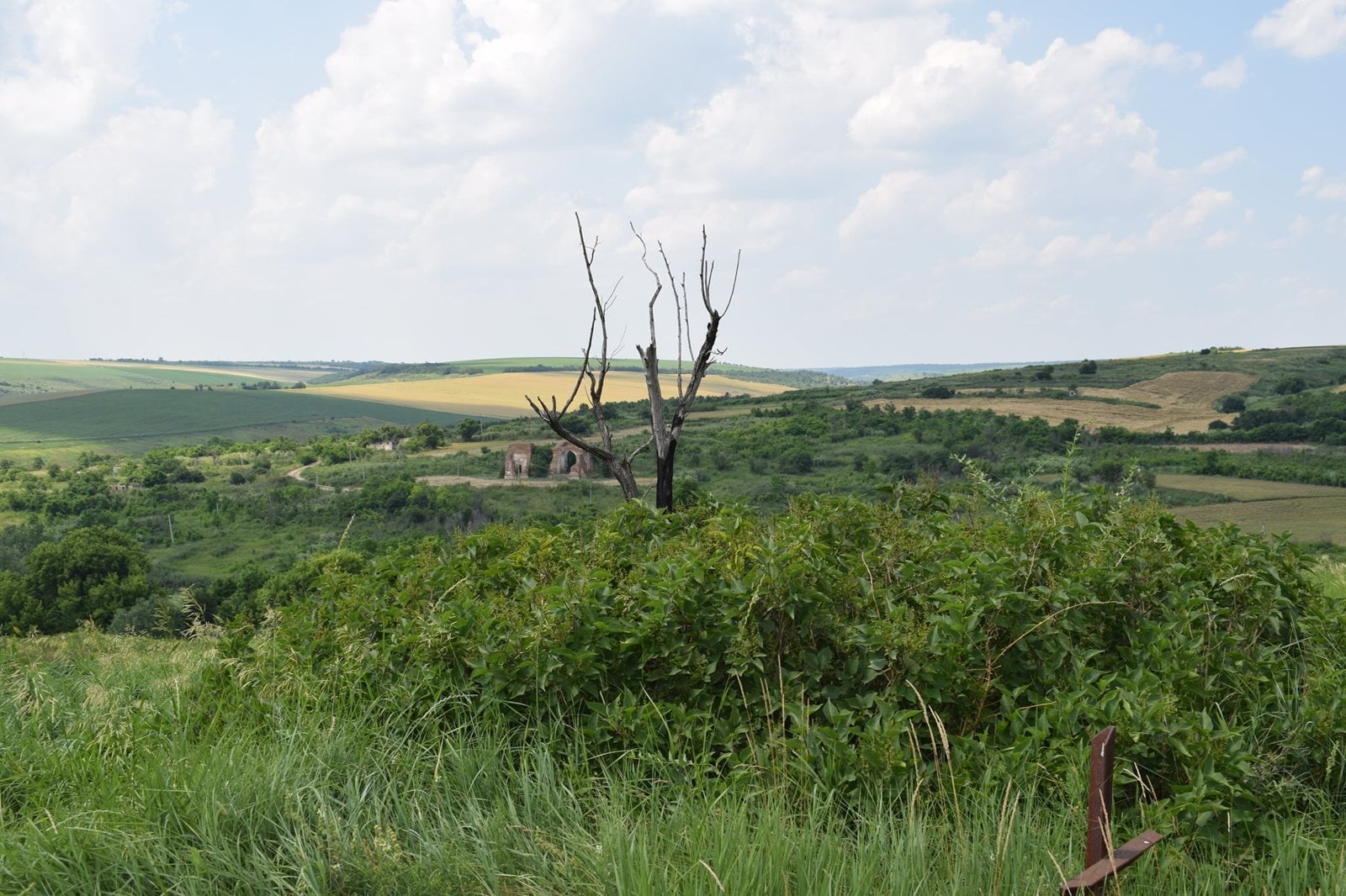 Пагорби й поля біля Перешорів
